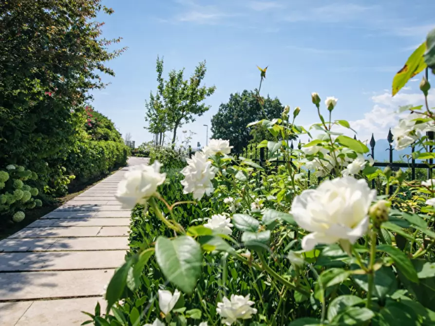 Immagine 67 di Villa in vendita  a San Zeno Di Montagna
