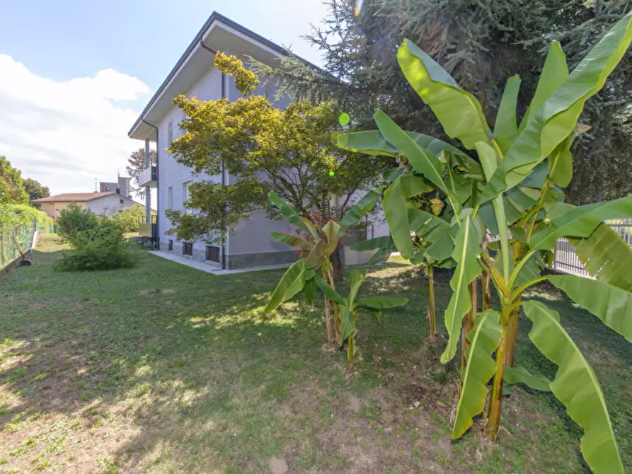 Immagine 61 di Appartamento in vendita  in Via Dei Tigli 23 a Gorgonzola