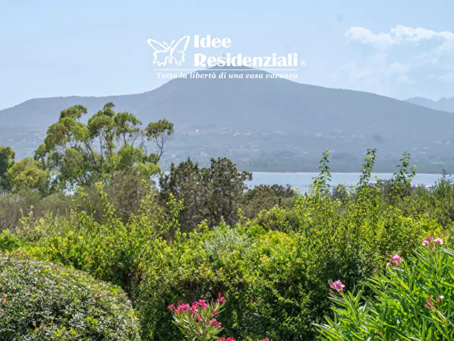 Immagine 4 di Casa bifamiliare in vendita  in VIA SA TAZZA a Olbia