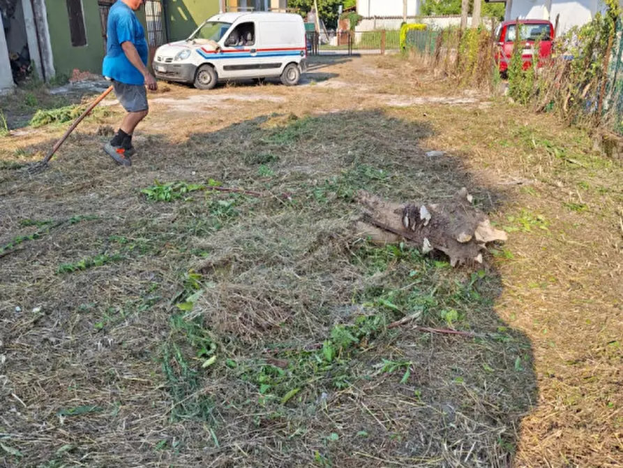 Immagine 2 di Casa bifamiliare in vendita  in via garibaldi a Vigonovo