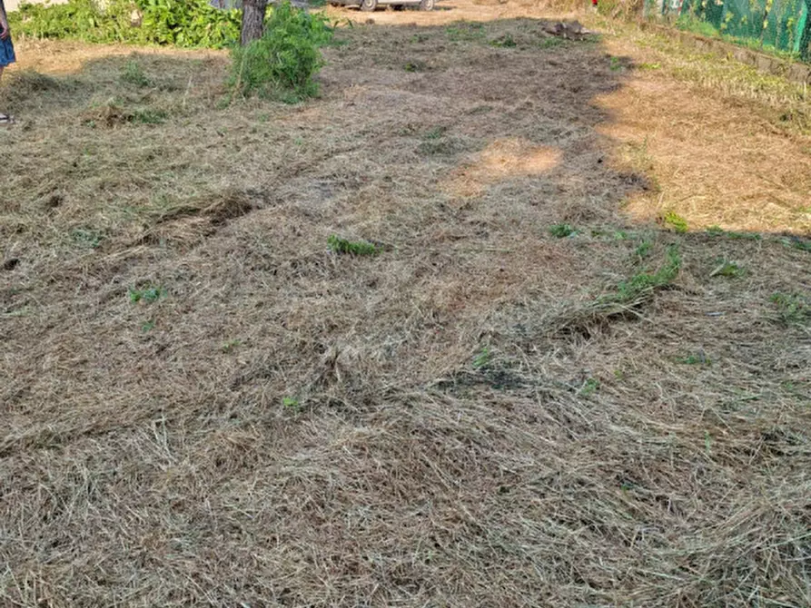 Immagine 8 di Casa bifamiliare in vendita  in via garibaldi a Vigonovo
