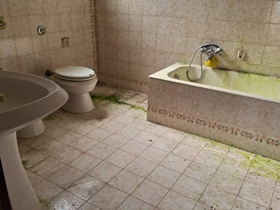 Immagine 13 di Casa bifamiliare in vendita  in via garibaldi a Vigonovo