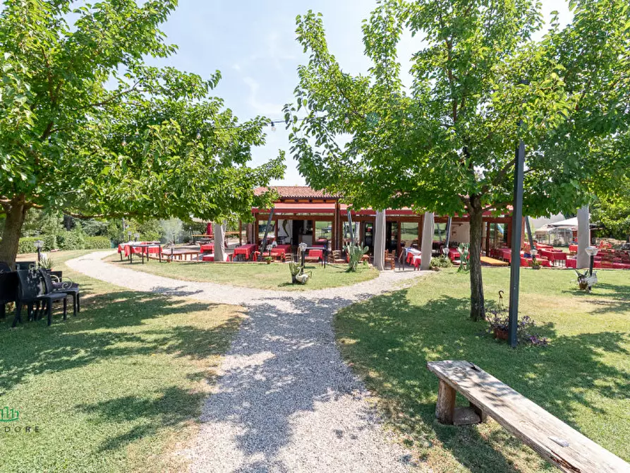 Immagine 4 di Attività commerciale in vendita  in via Monte del Re 20 a Dozza