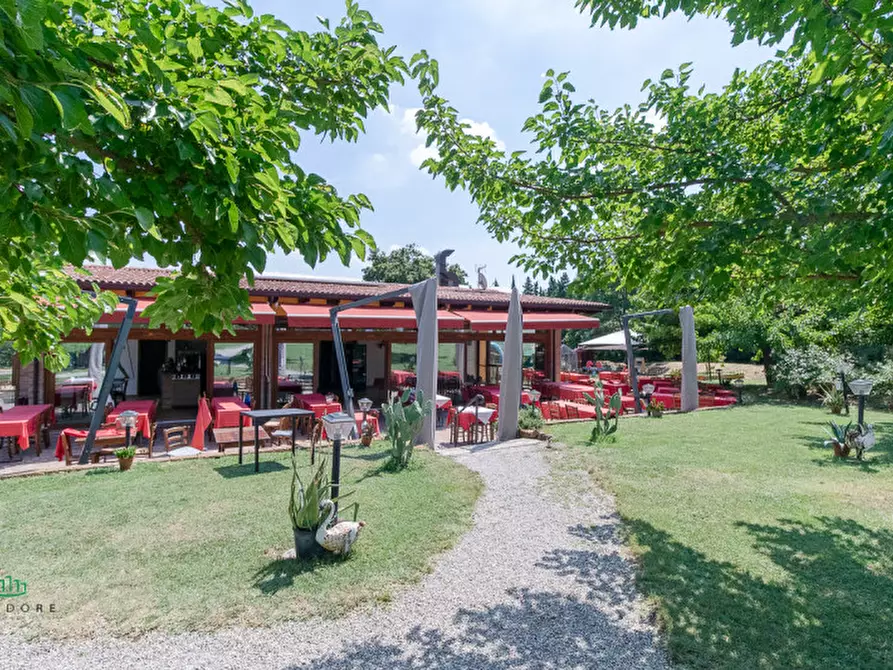 Immagine 5 di Attività commerciale in vendita  in via Monte del Re 20 a Dozza