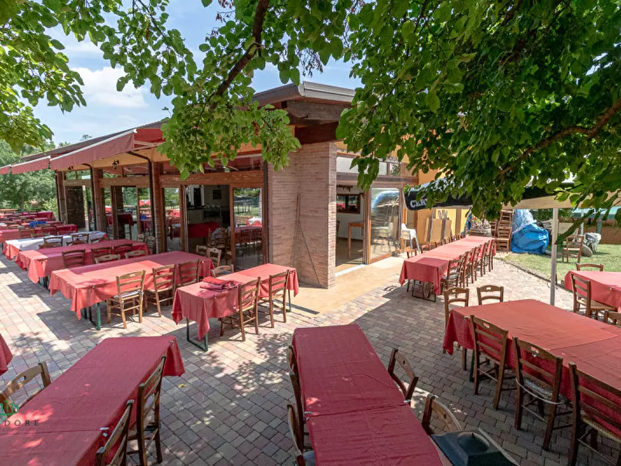 Immagine 9 di Attività commerciale in vendita  in via Monte del Re 20 a Dozza