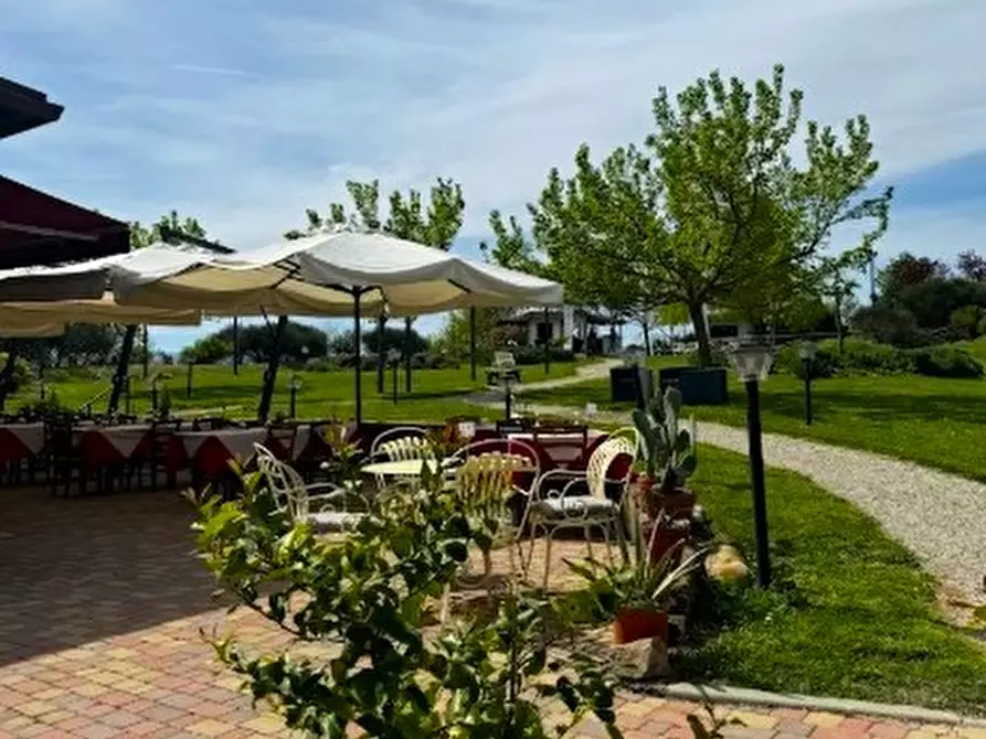 Immagine 12 di Attività commerciale in vendita  in via Monte del Re 20 a Dozza