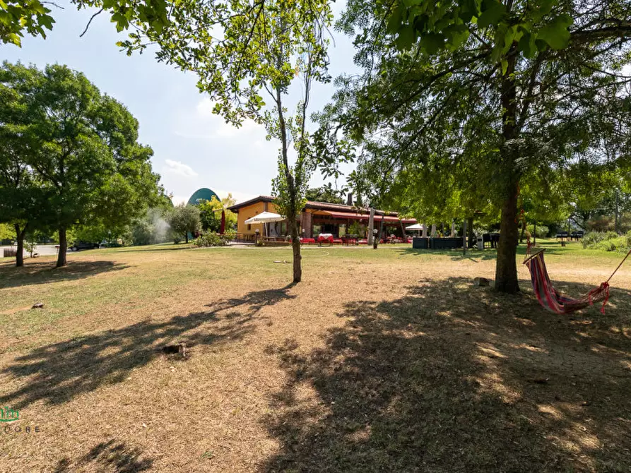 Immagine 13 di Attività commerciale in vendita  in via Monte del Re 20 a Dozza