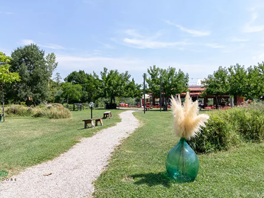 Immagine 14 di Attività commerciale in vendita  in via Monte del Re 20 a Dozza