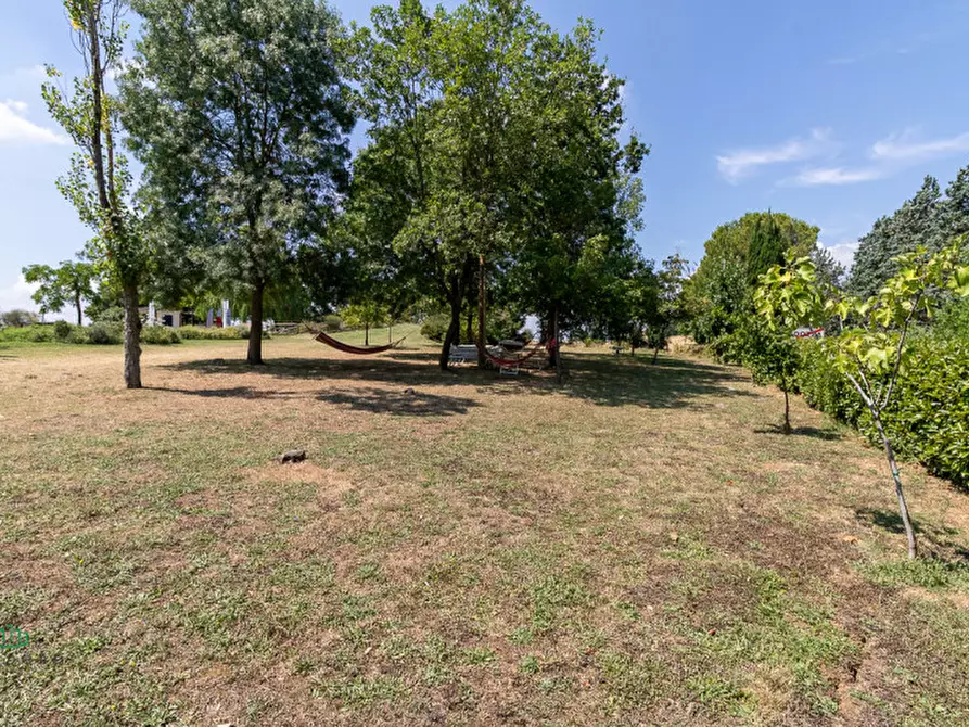 Immagine 26 di Attività commerciale in vendita  in via Monte del Re 20 a Dozza