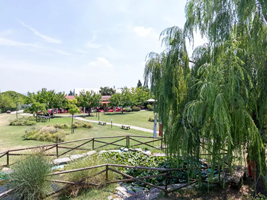 Immagine 28 di Attività commerciale in vendita  in via Monte del Re 20 a Dozza