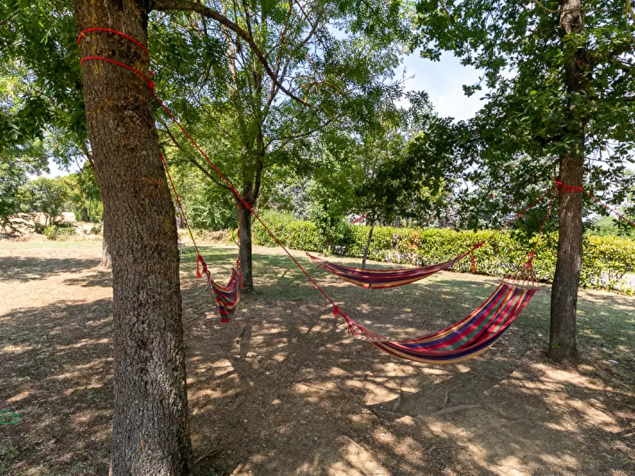 Immagine 29 di Attività commerciale in vendita  in via Monte del Re 20 a Dozza