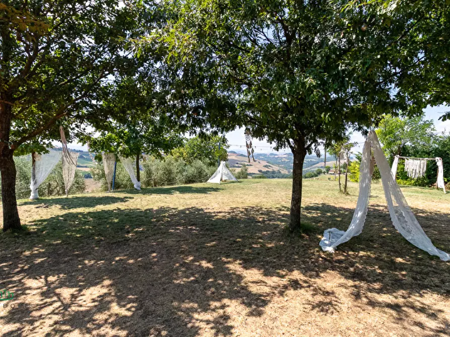 Immagine 32 di Attività commerciale in vendita  in via Monte del Re 20 a Dozza