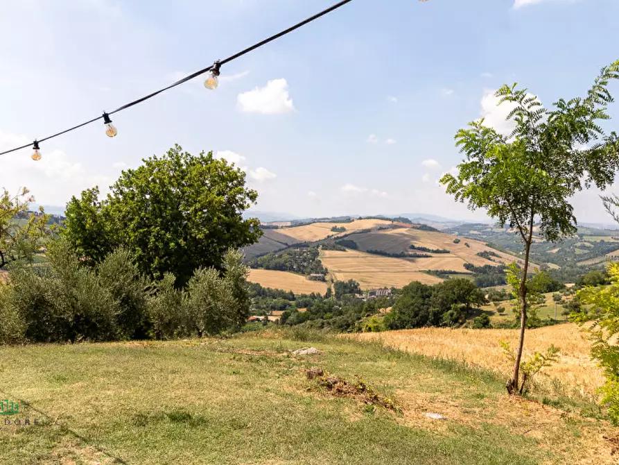 Immagine 34 di Attività commerciale in vendita  in via Monte del Re 20 a Dozza