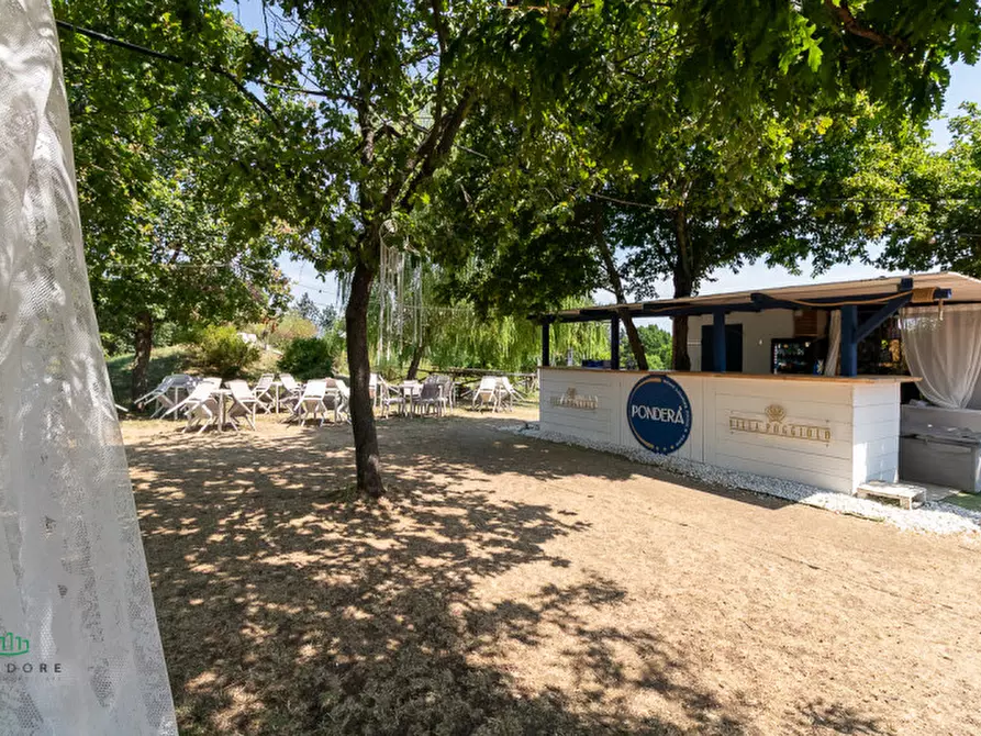 Immagine 36 di Attività commerciale in vendita  in via Monte del Re 20 a Dozza