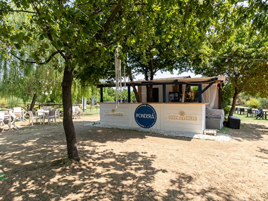 Immagine 37 di Attività commerciale in vendita  in via Monte del Re 20 a Dozza