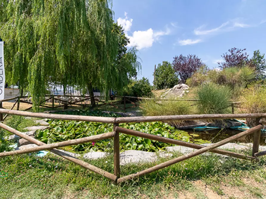 Immagine 39 di Attività commerciale in vendita  in via Monte del Re 20 a Dozza