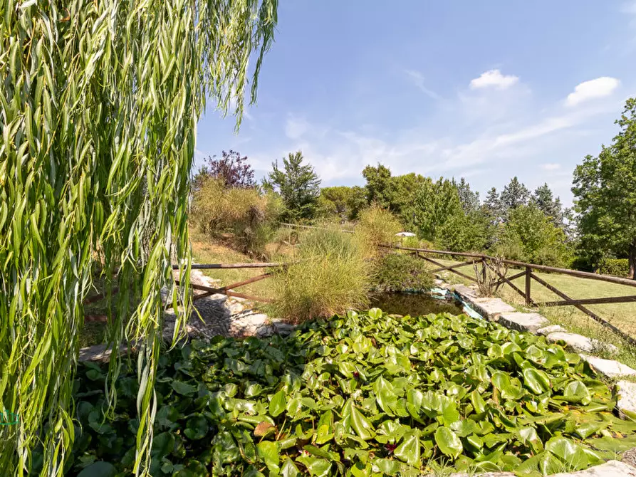 Immagine 40 di Attività commerciale in vendita  in via Monte del Re 20 a Dozza