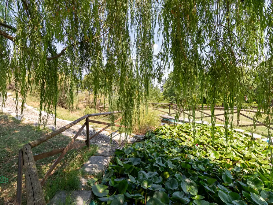 Immagine 41 di Attività commerciale in vendita  in via Monte del Re 20 a Dozza