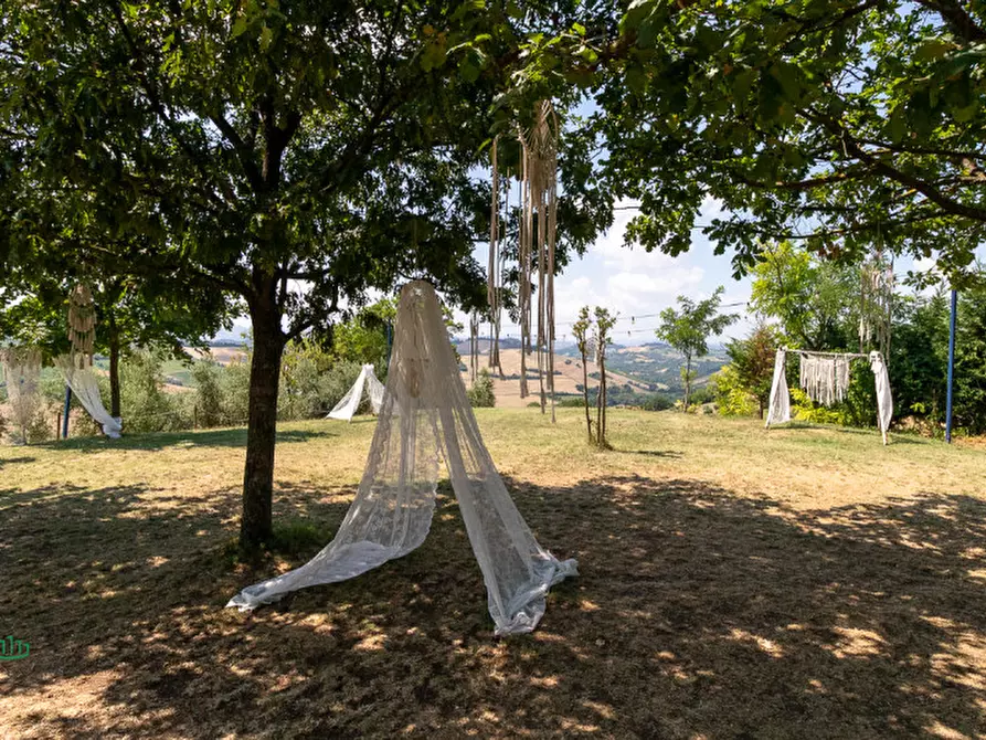 Immagine 42 di Attività commerciale in vendita  in via Monte del Re 20 a Dozza