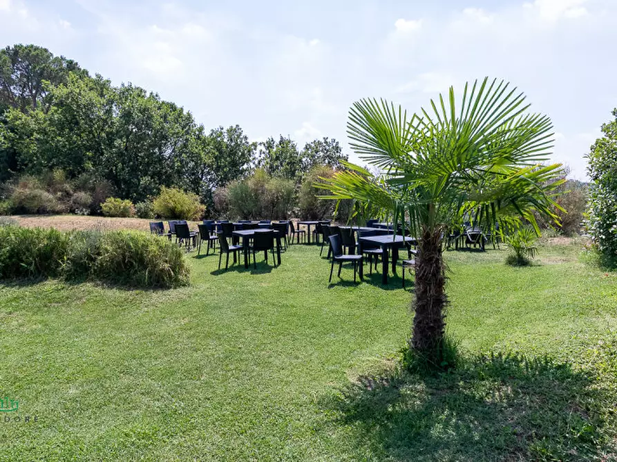 Immagine 45 di Attività commerciale in vendita  in via Monte del Re 20 a Dozza