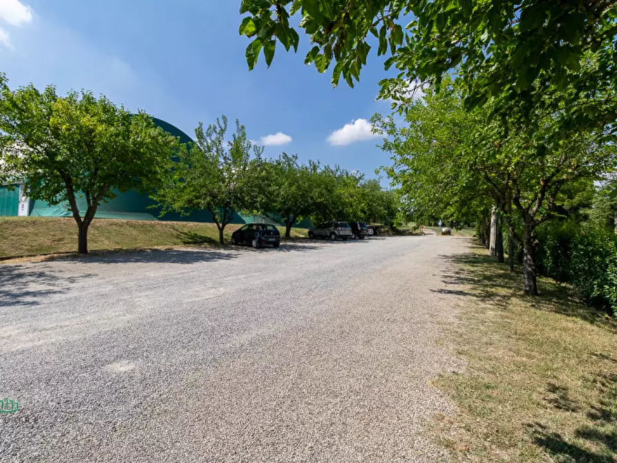 Immagine 62 di Attività commerciale in vendita  in via Monte del Re 20 a Dozza