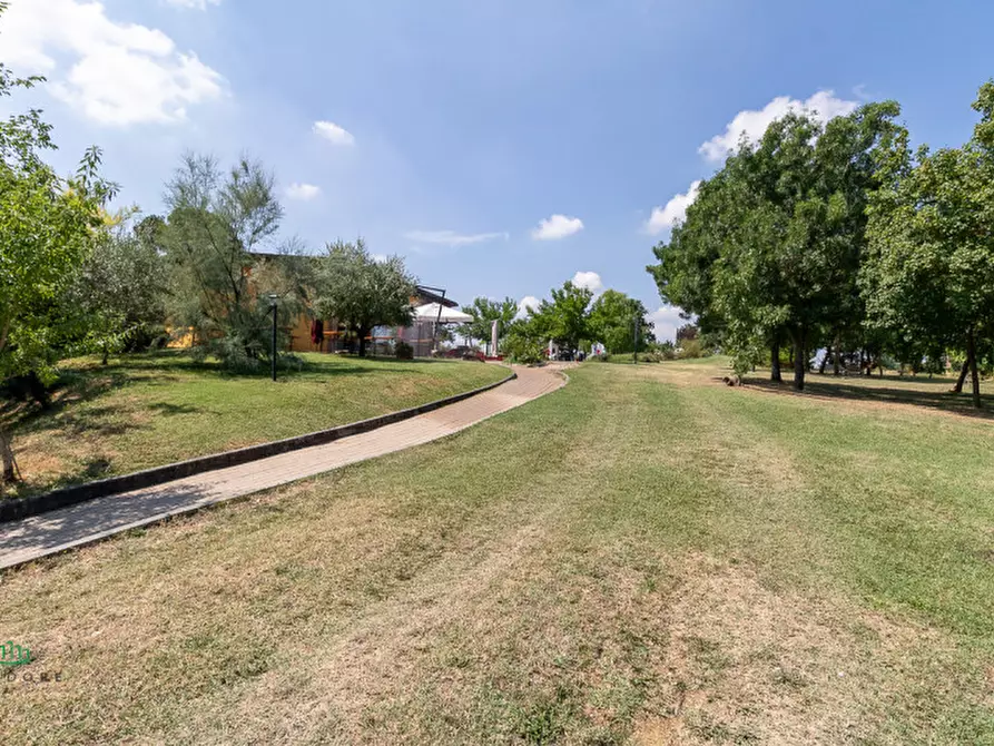 Immagine 63 di Attività commerciale in vendita  in via Monte del Re 20 a Dozza