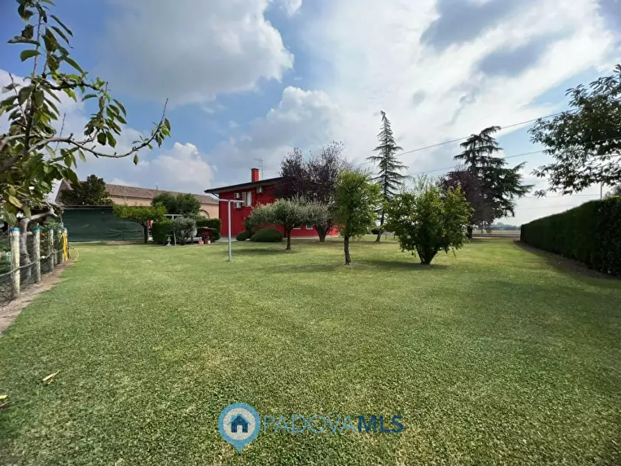 Immagine 2 di Villa in vendita  in Via Nuova, 130 a Anguillara Veneta