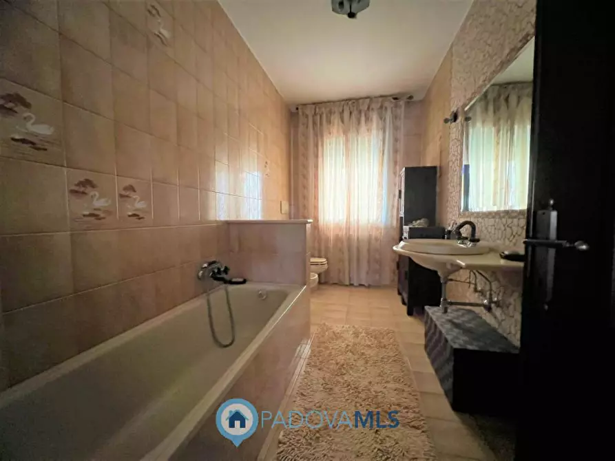 Immagine 9 di Villa in vendita  in Via Nuova, 130 a Anguillara Veneta