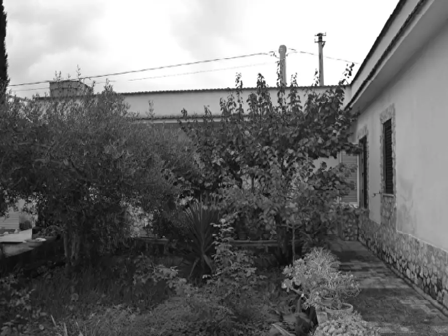 Immagine 4 di Appartamento in vendita  in via Lenzi 33 a Erice