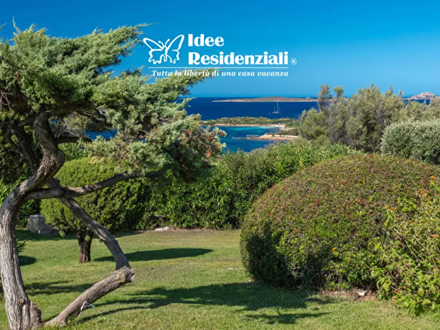 Immagine 5 di Appartamento in affitto  in via punta lada a Olbia