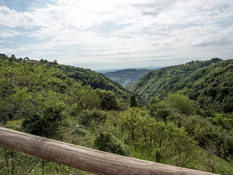 Immagine 40 di Rustico / casale in vendita  a Badia Calavena