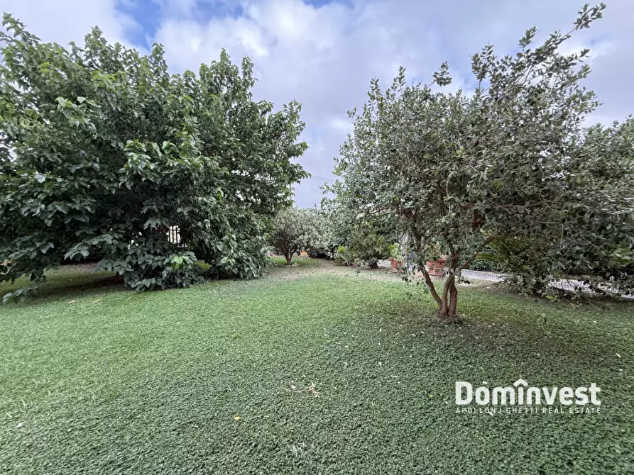 Immagine 11 di Appartamento in vendita  in Via delle Magnolie a Montalto Di Castro