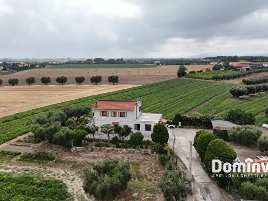 Immagine 2 di Rustico / casale in vendita  in Località Ara Vecchia a Montalto Di Castro