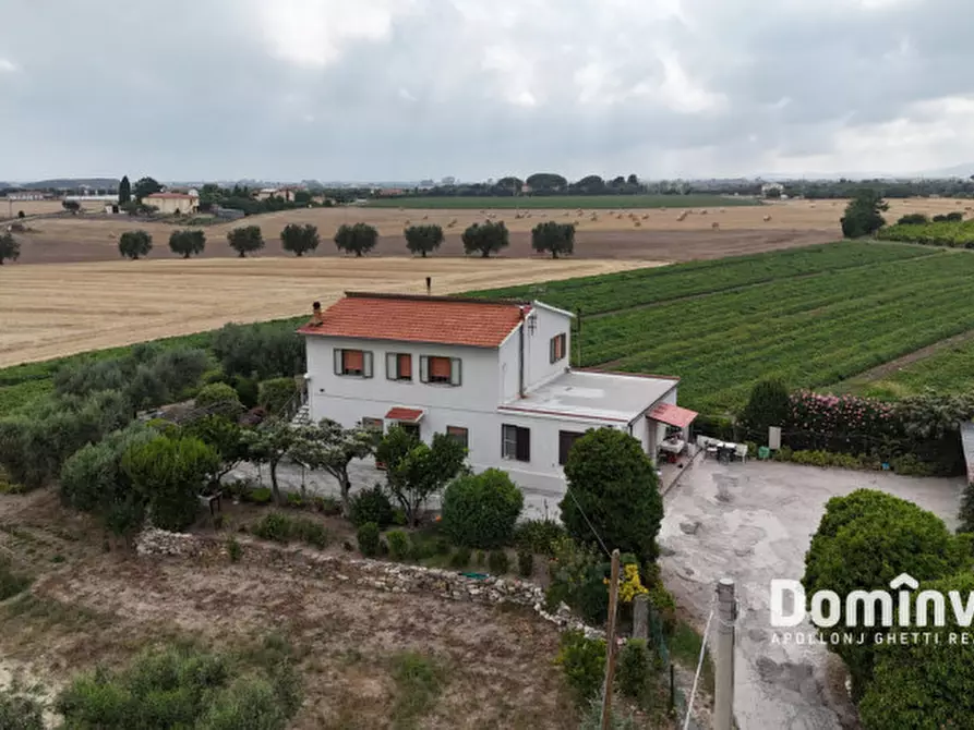 Immagine 4 di Rustico / casale in vendita  in Località Ara Vecchia a Montalto Di Castro