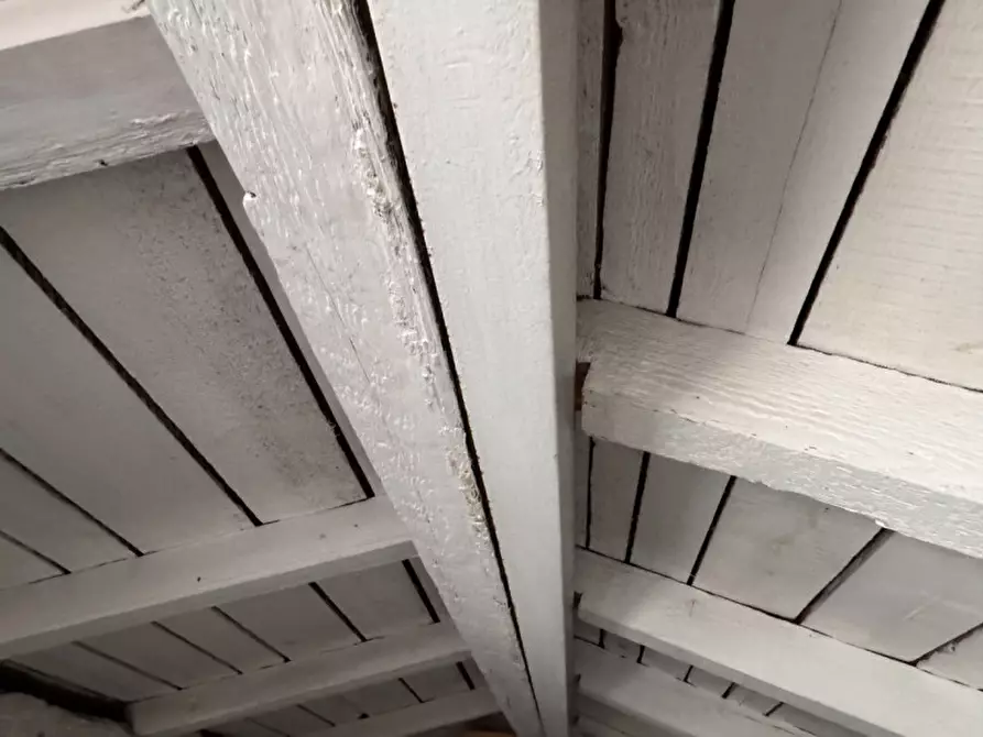 Immagine 4 di Attico in vendita  in via Romana di Quarto a Genova