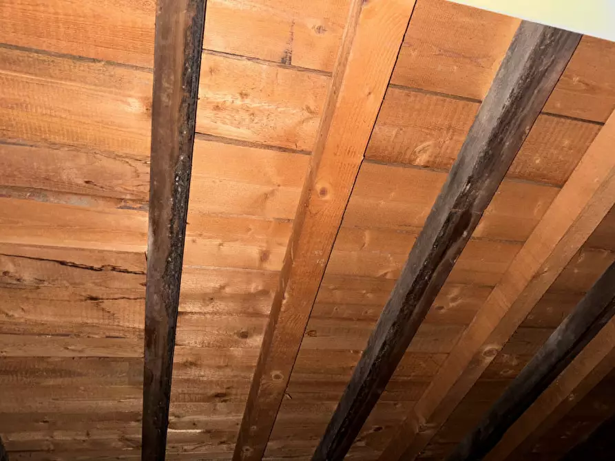 Immagine 5 di Attico in vendita  in via Romana di Quarto a Genova