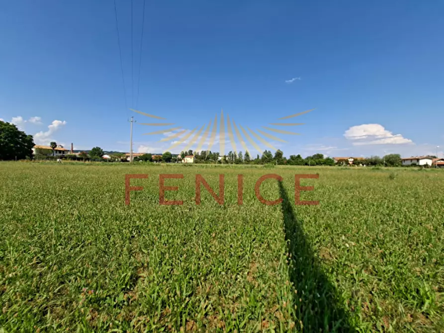 Immagine 10 di Terreno in vendita  in via feratine a Montebelluna