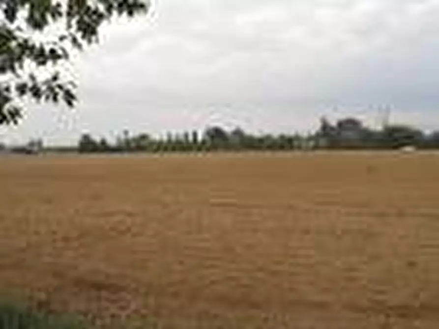 Immagine 1 di Terreno in vendita  in Via Desman a Borgoricco