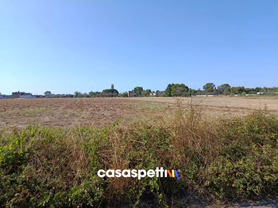 Immagine 2 di Terreno in vendita  in Via Vecchia Sant'Elia a Squinzano