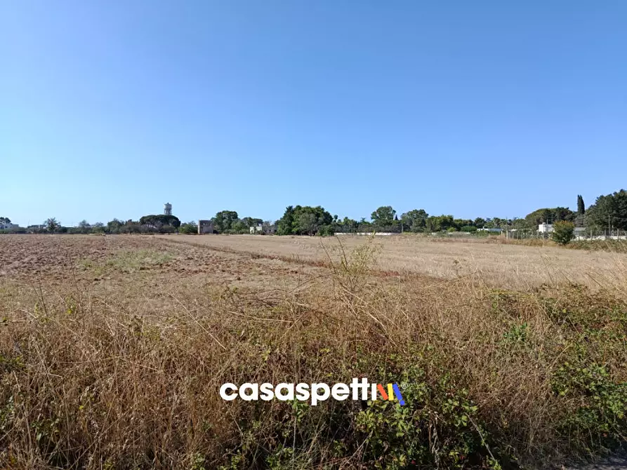 Immagine 3 di Terreno in vendita  in Via Vecchia Sant'Elia a Squinzano