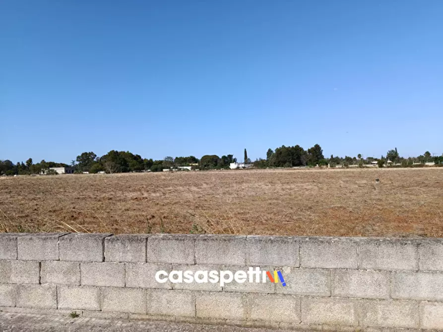 Immagine 5 di Terreno in vendita  in Via Vecchia Sant'Elia a Squinzano