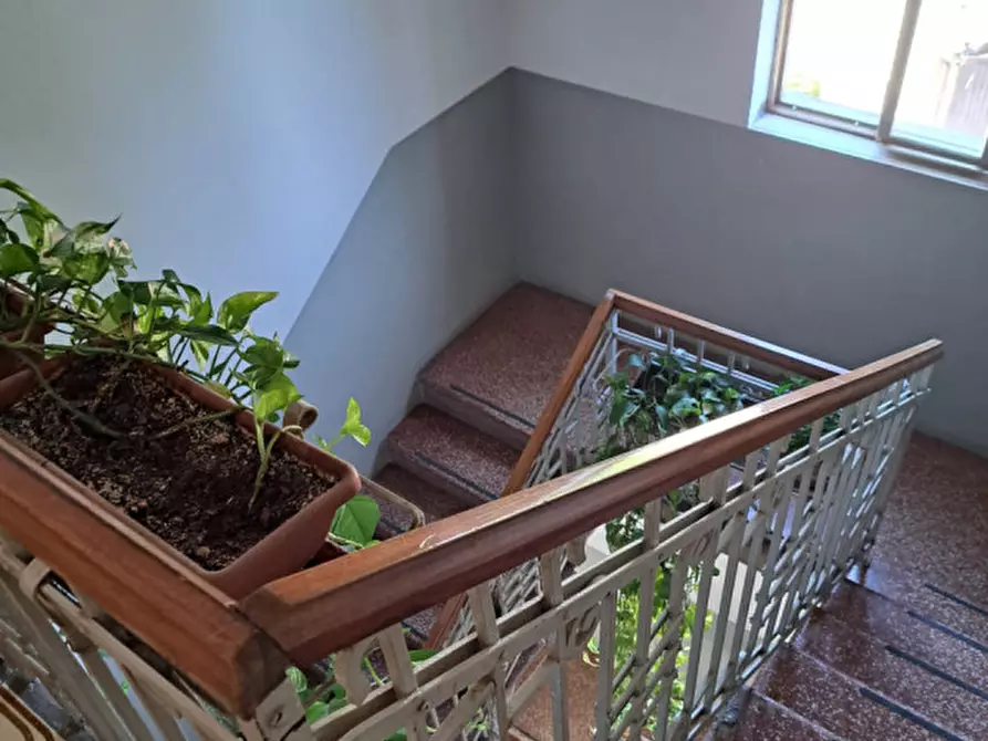 Immagine 18 di Appartamento in vendita  in via vittorio veneto a Curtarolo