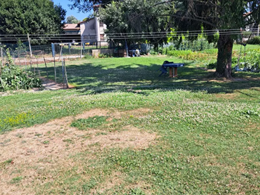 Immagine 29 di Appartamento in vendita  in via vittorio veneto a Curtarolo