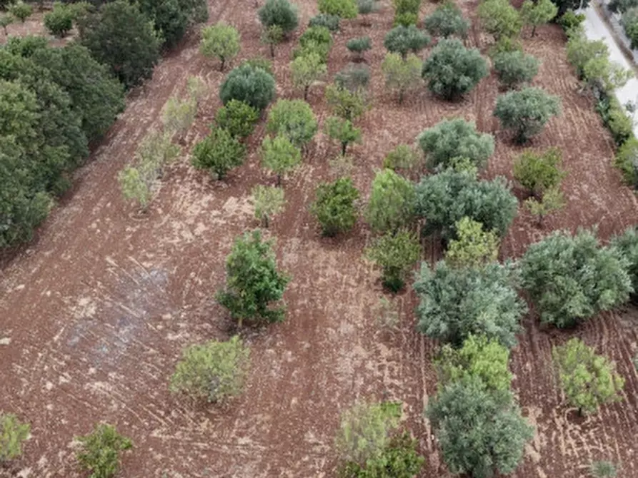 Immagine 109 di Villa in vendita  in strada vicinale cancello 96/C a Noci