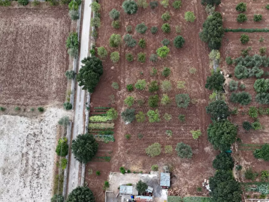 Immagine 105 di Villa in vendita  in strada vicinale cancello 96/C a Noci