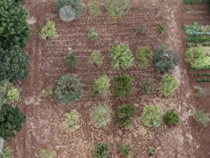 Immagine 106 di Villa in vendita  in strada vicinale cancello 96/C a Noci