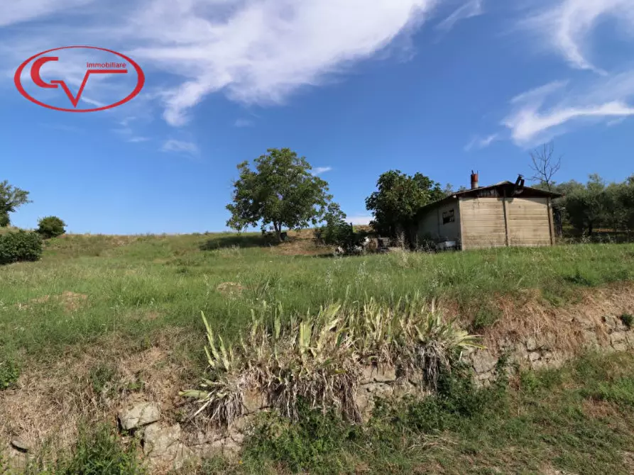 Immagine 2 di Magazzino in vendita  in levane a Montevarchi