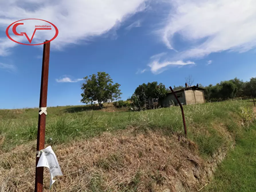 Immagine 3 di Magazzino in vendita  in levane a Montevarchi