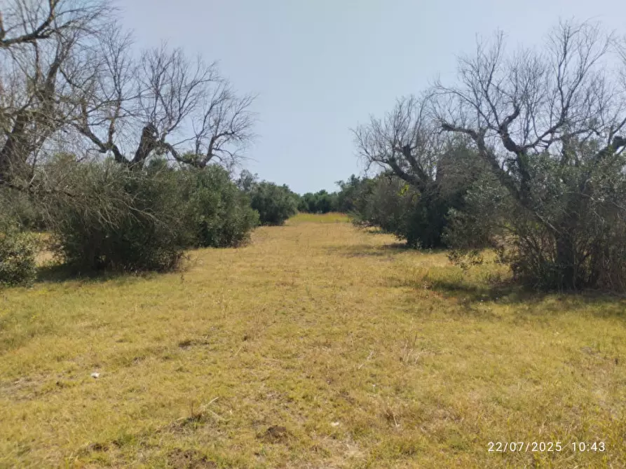 Immagine 1 di Terreno in vendita  a Casarano