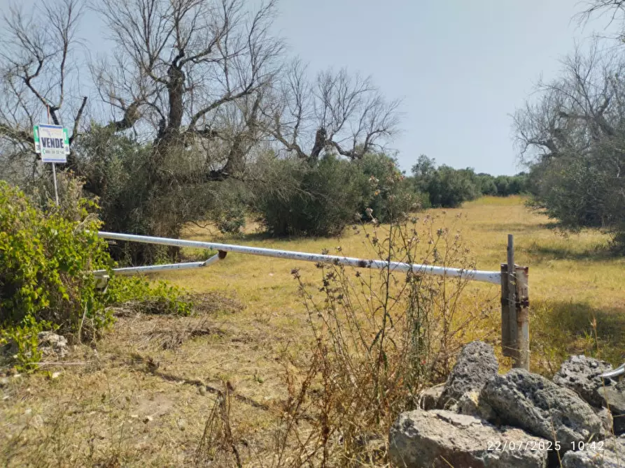 Immagine 7 di Terreno in vendita  a Casarano